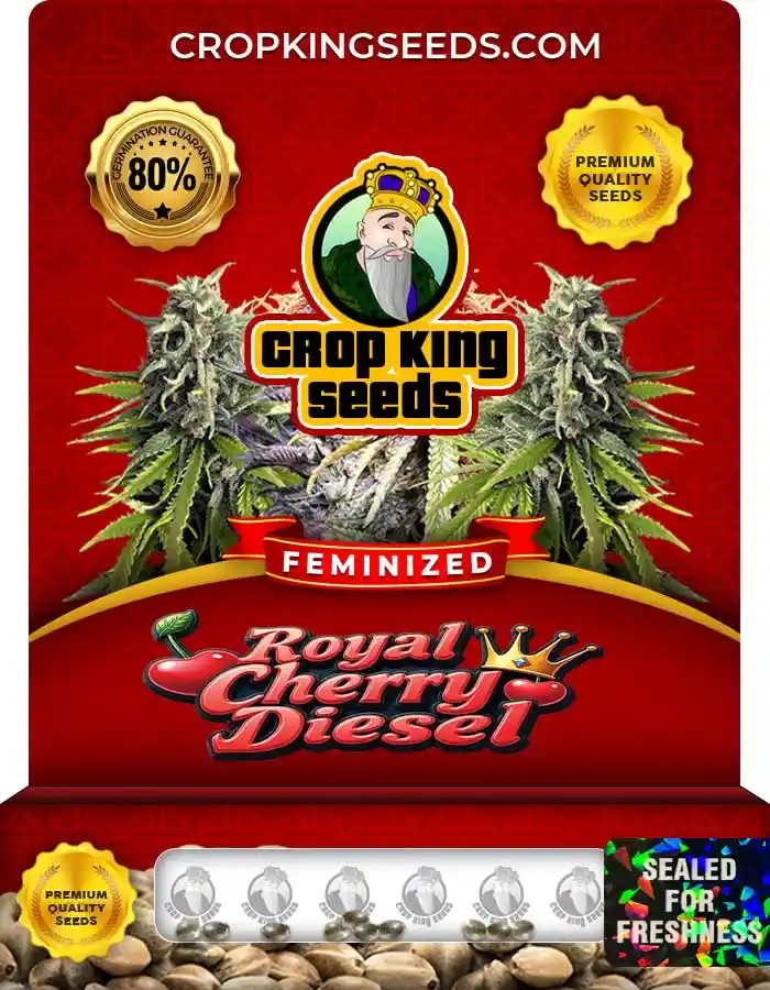 Royal Cherry Diesel Feminized Seeds