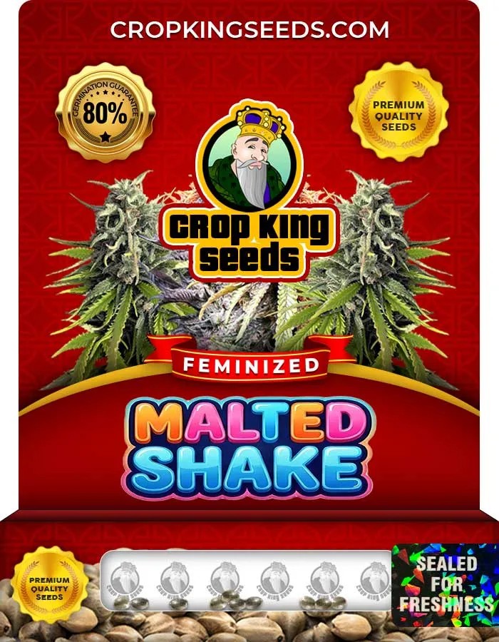 Malted Shake Strain Feminized Seeds