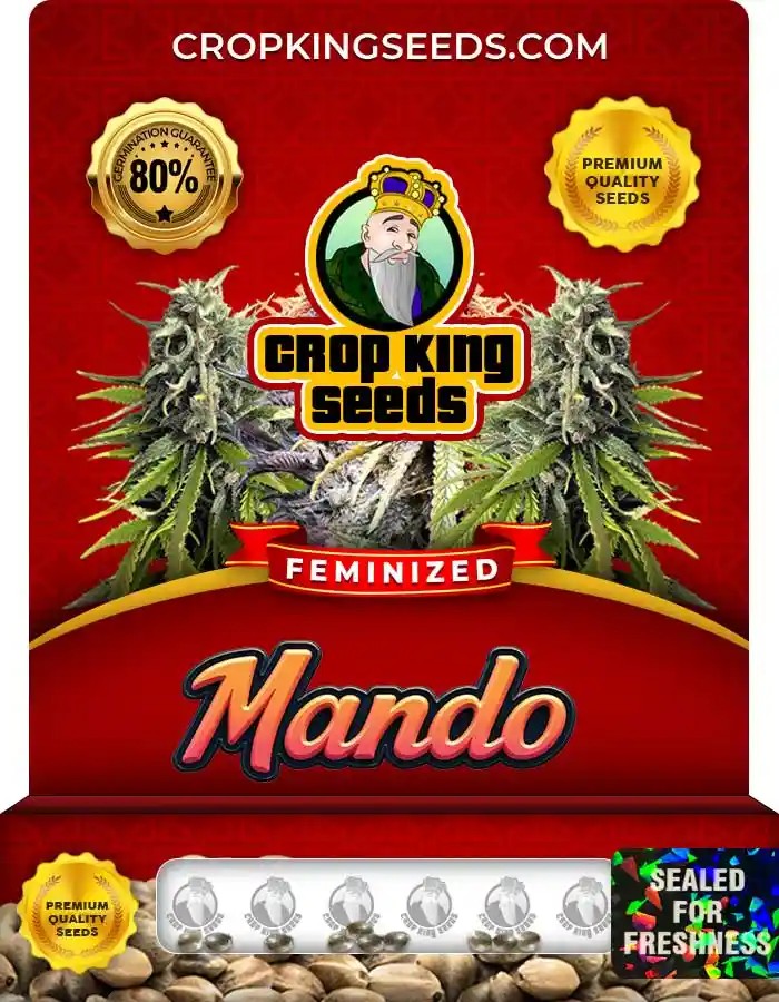 Mando Feminized Seeds