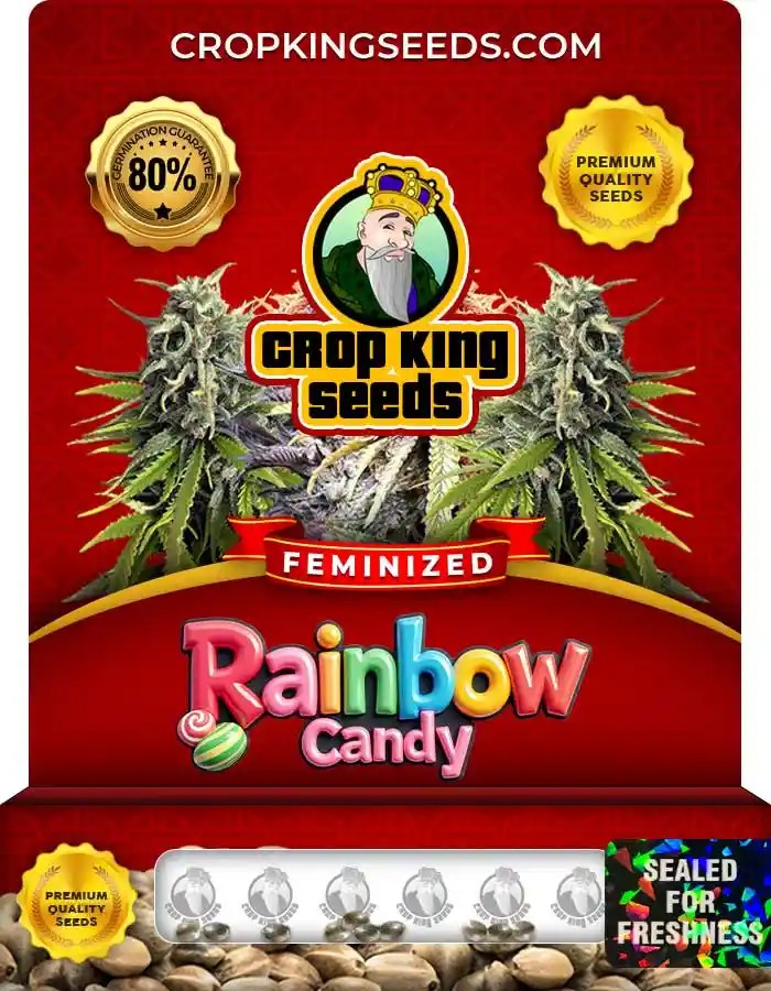 Rainbow Candy Strain Feminized Marijuana Seeds
