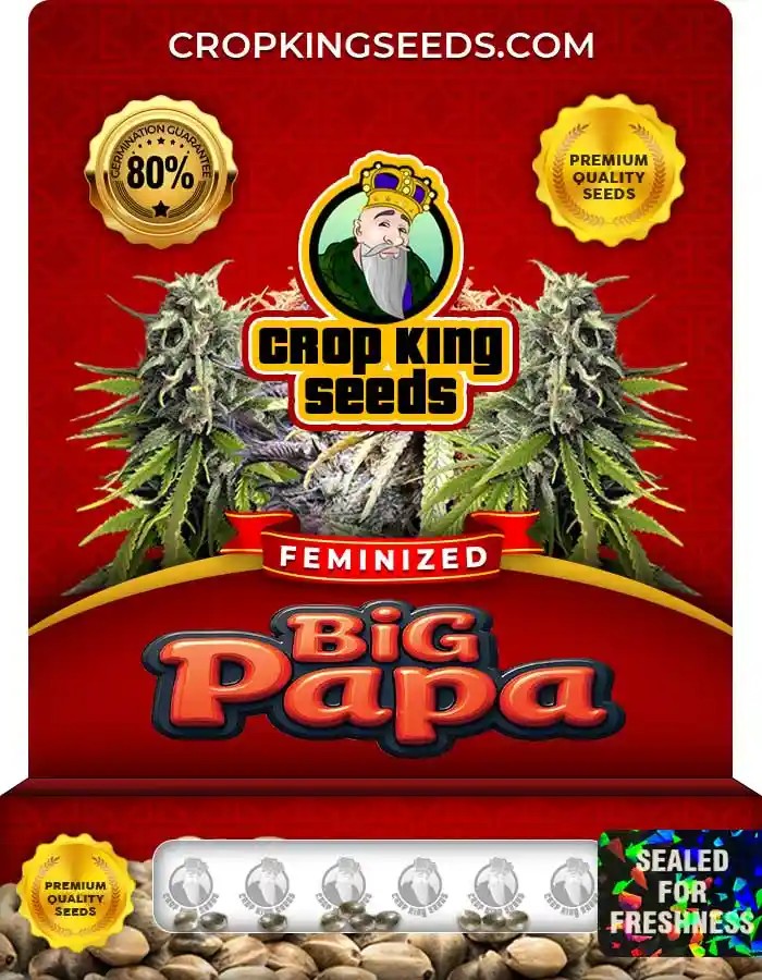 Big Papa Feminized Seeds