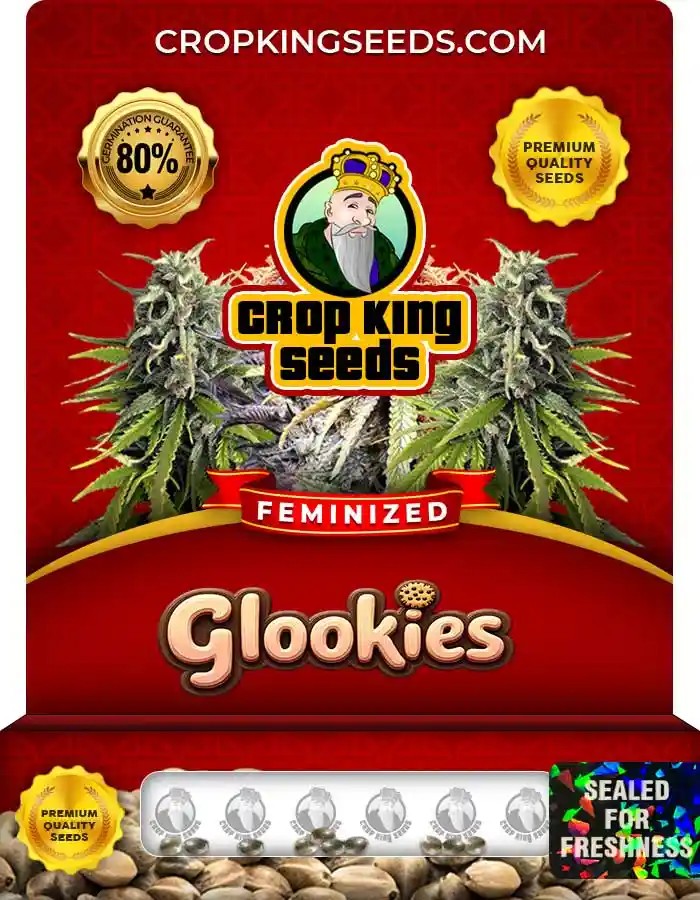 Glookies Strain Feminized Marijuana Seeds