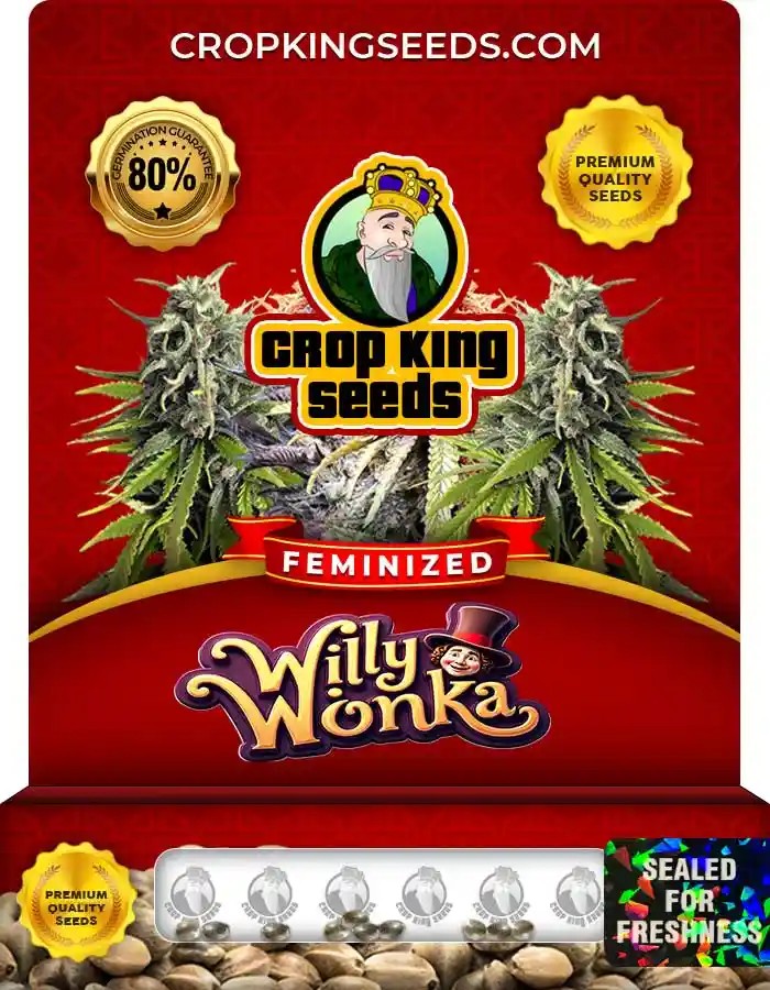 Willy Wonka Strain Feminized Marijuana Seeds