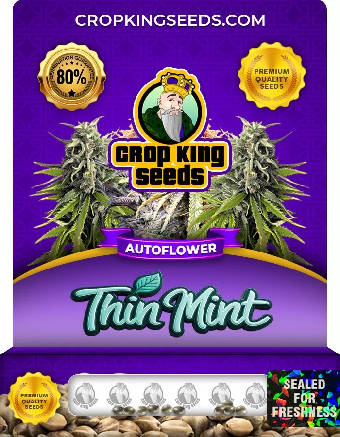 Thin Mint Autoflower Marijuana Seeds
