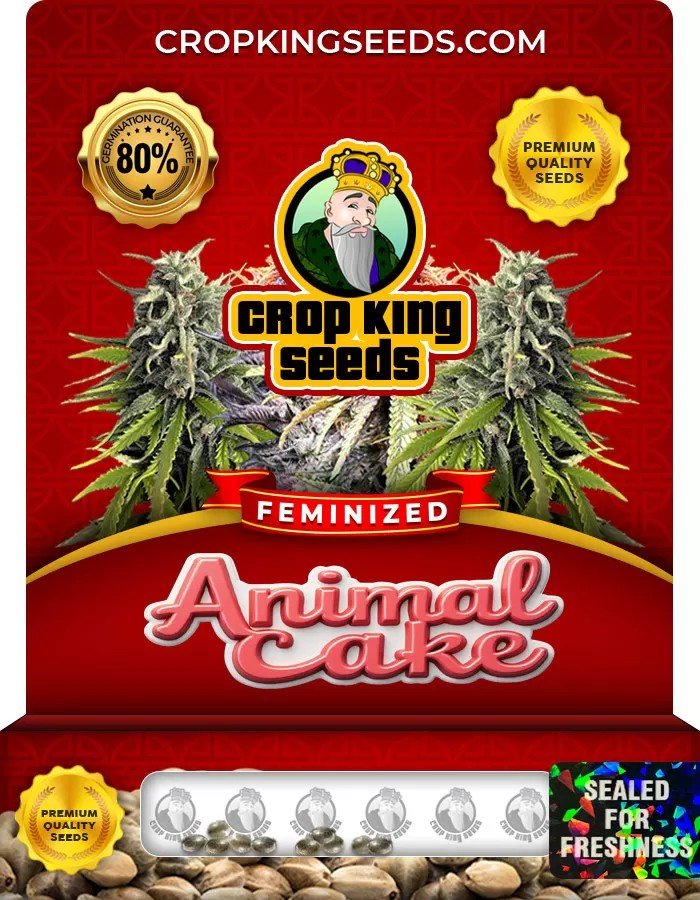 Animal Cake Feminized Marijuana Seeds