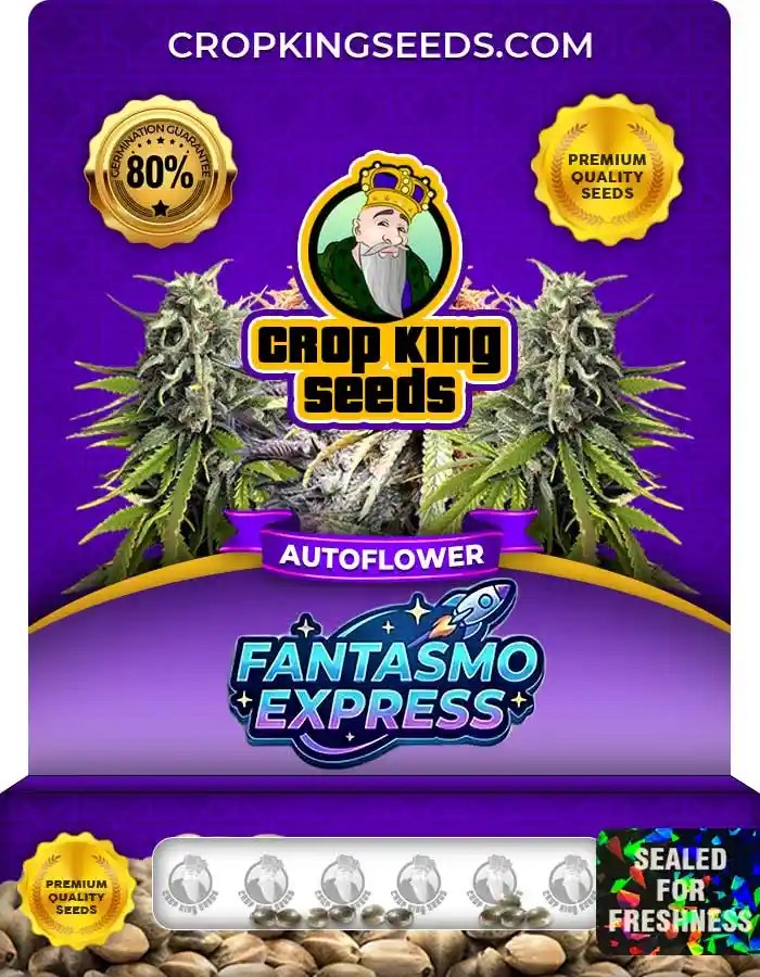 Fantasmo Express Autoflower Seeds
