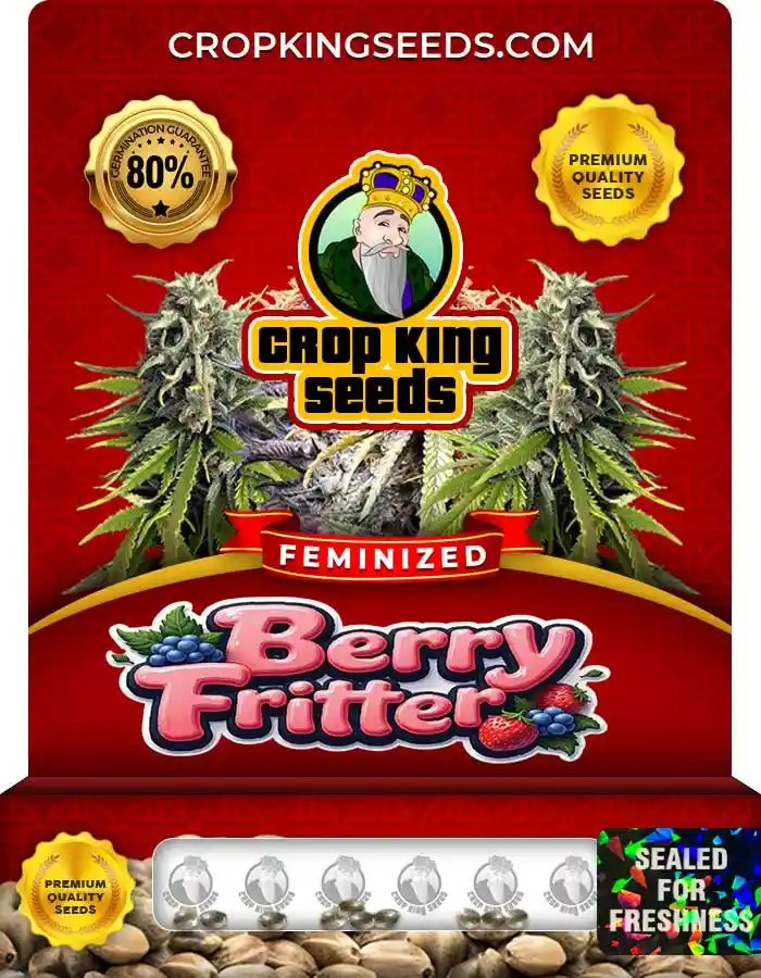 Berry Fritter Feminized Seeds