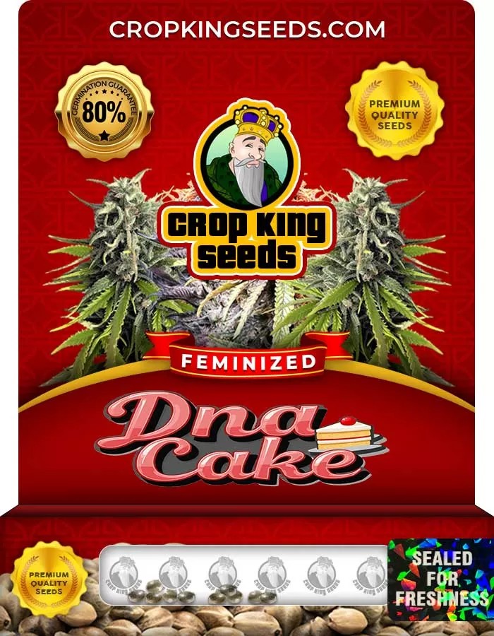 DNA Cake Strain Feminized Seeds