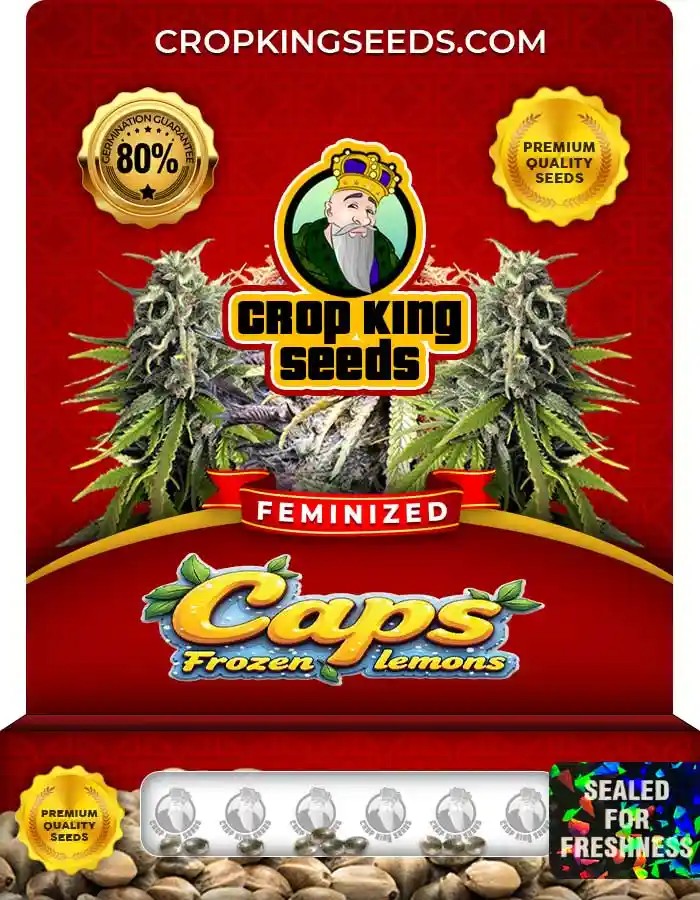 Caps Frozen Lemons Strain Feminized Marijuana Seeds