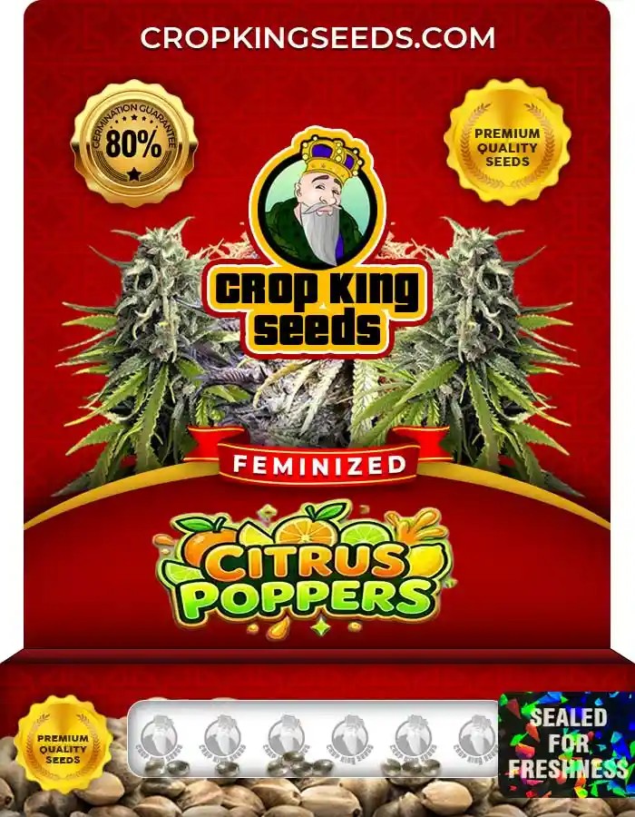 Citrus Poppers Strain Feminized Seeds