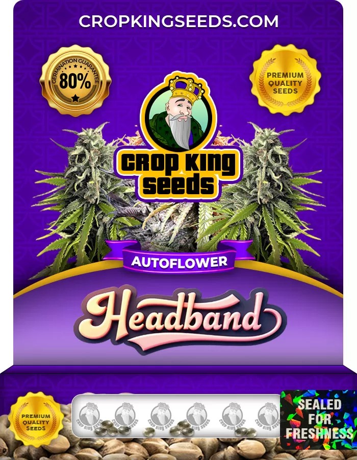 Headband Autoflower Marijuana Seeds