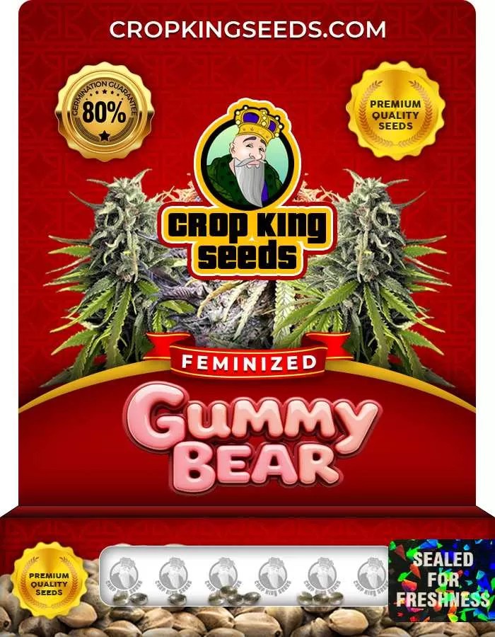Gummy Bear Strain Feminized Marijuana Seeds