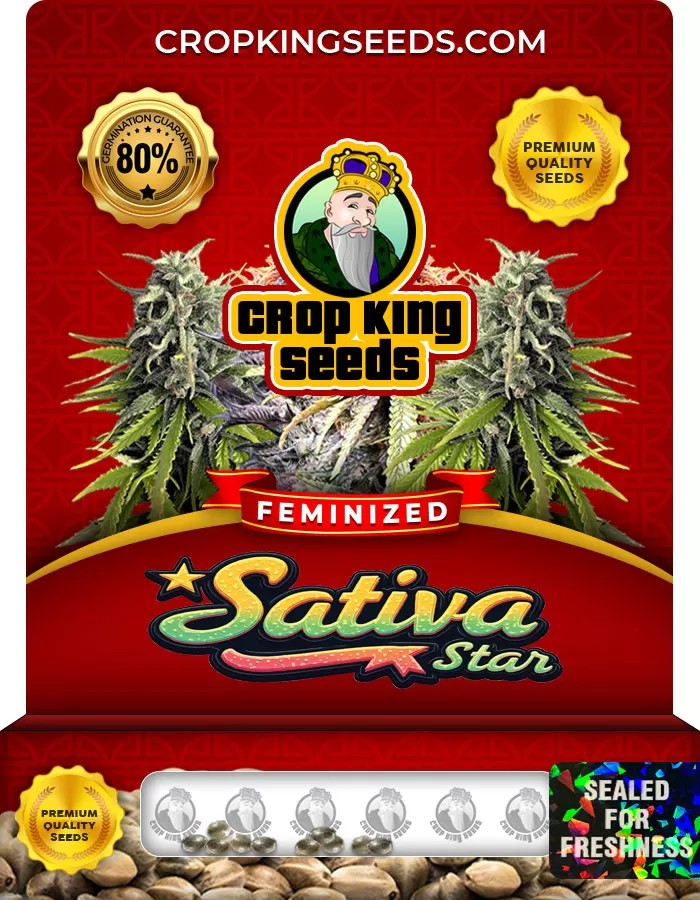 Sativa Star Feminized Marijuana Seeds