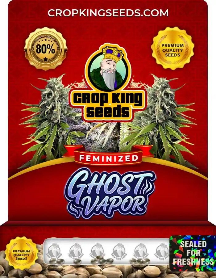 Ghost Vapor Strain Feminized Marijuana Seeds