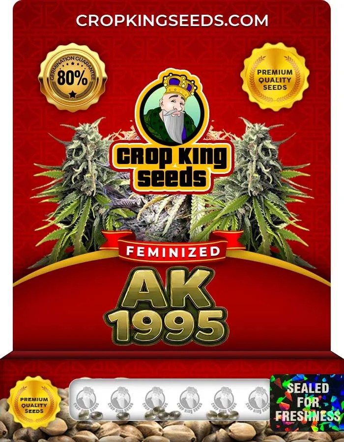 AK 1995 Strain Feminized Seeds