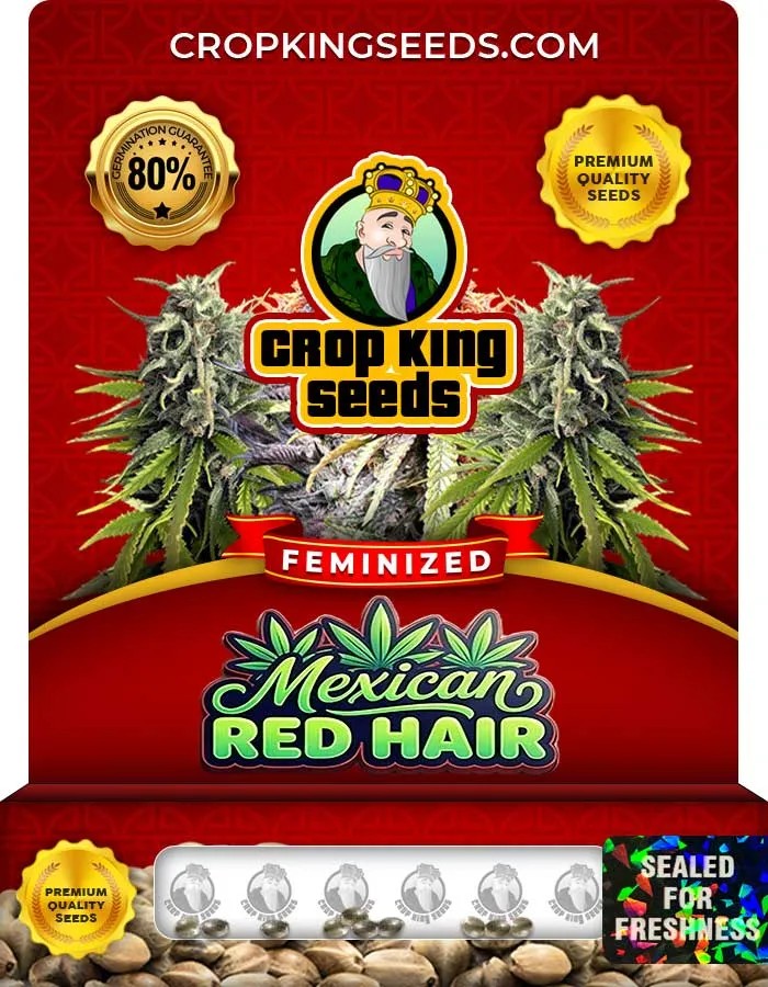 Mexican Red Hair Strain Feminized Seeds