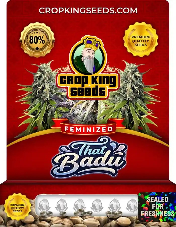 That Badu Strain Feminized Marijuana Seeds