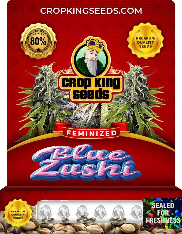 Blue Zushi Feminized Seeds