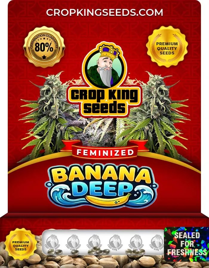 Banana Deep Strain Feminized Seeds