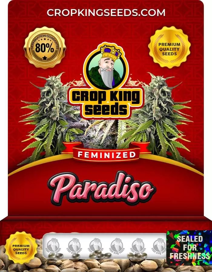 Paradiso Strain Feminized Seeds