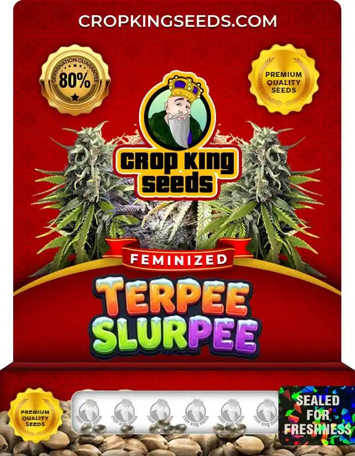 Terpee Slurpee Strain Feminized Marijuana Seeds