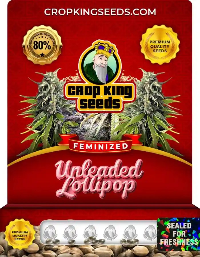 Unleaded Lollipop Strain Feminized Seeds