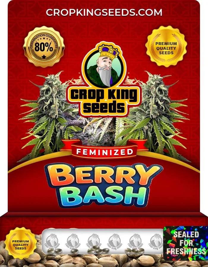 Berry Bash Strain Feminized Seeds