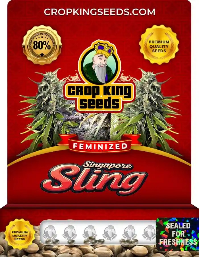 Singapore Sling Strain Feminized Marijuana Seeds
