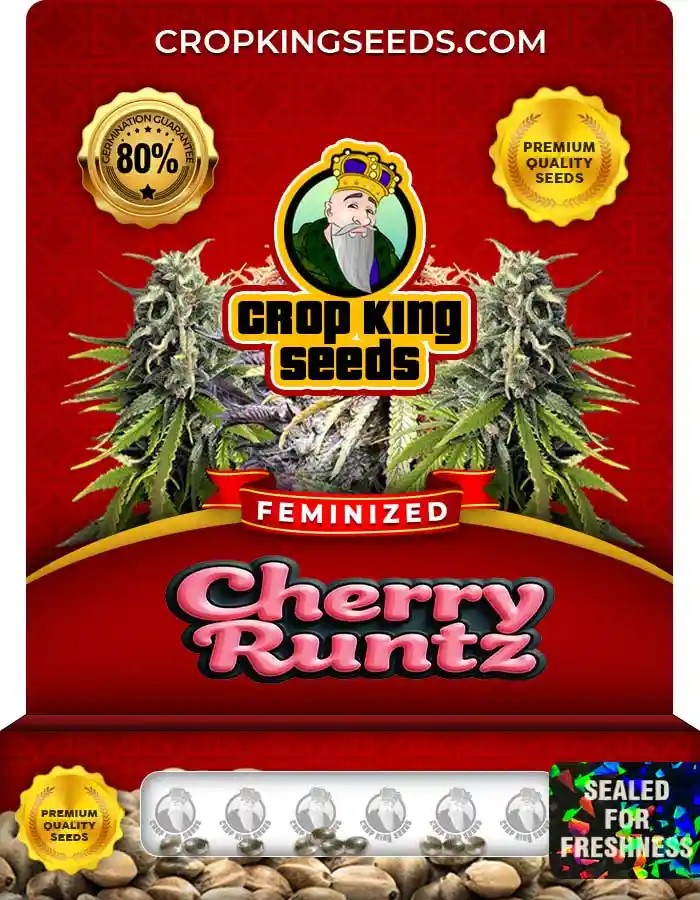Cherry Runtz Strain Feminized Seeds