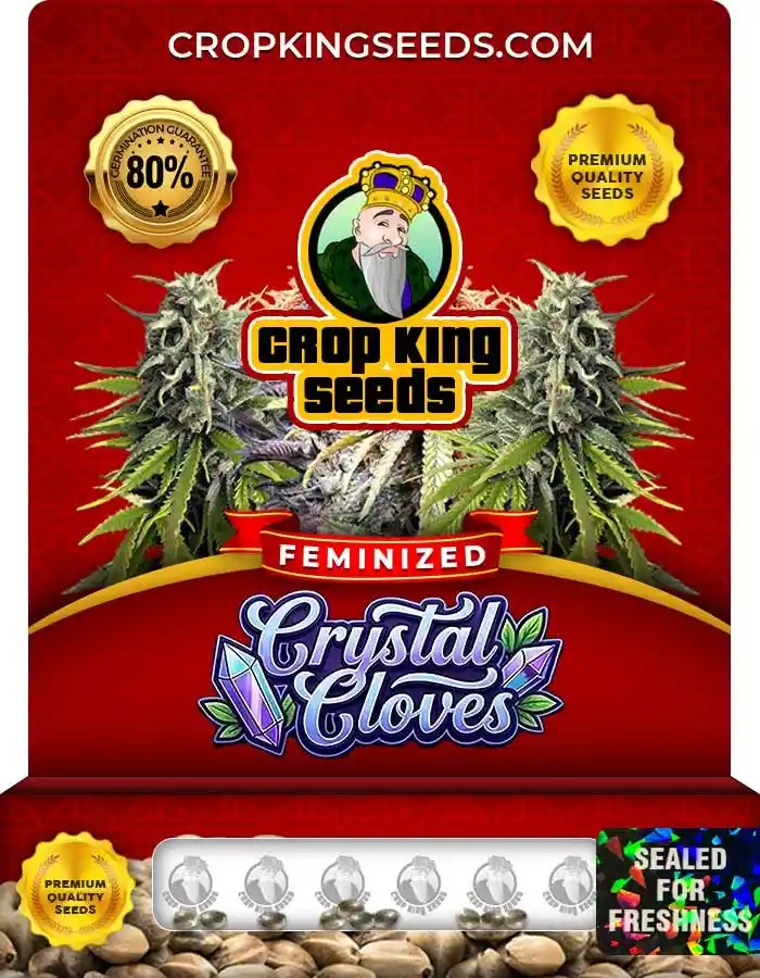 Crystal Cloves Strain Feminized Seeds