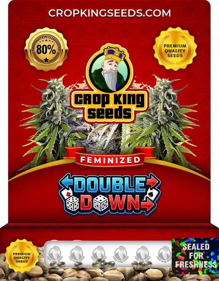 Double Down Strain Feminized Seeds