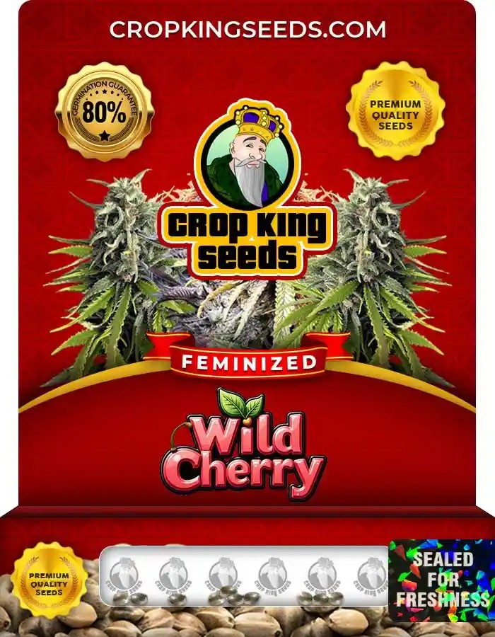 Wild Cherry Strain Feminized Marijuana Seeds