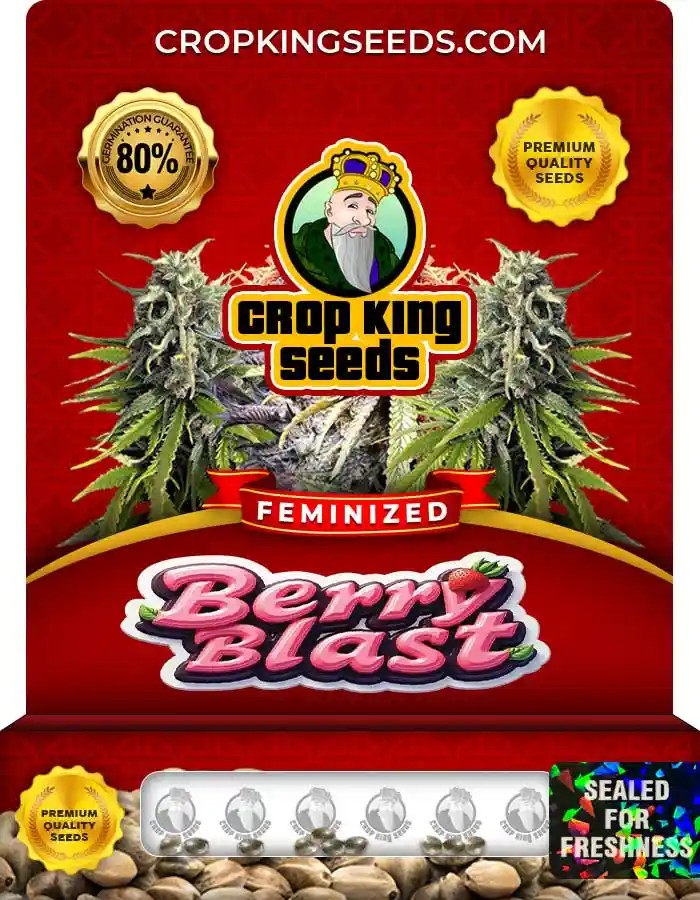 Berry Blast Feminized Seeds