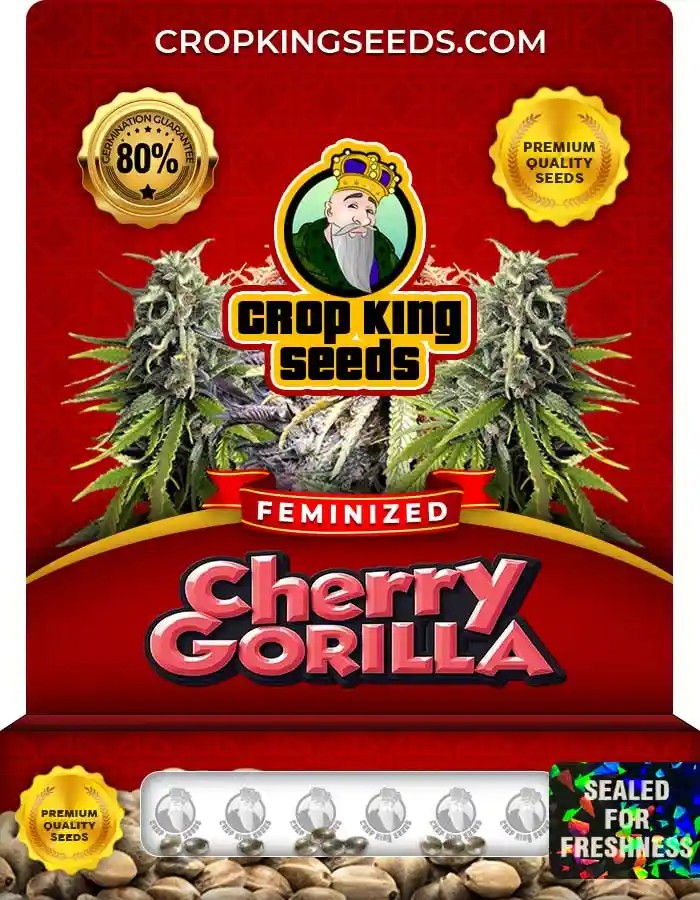 Cherry Gorilla Strain Feminized Seeds
