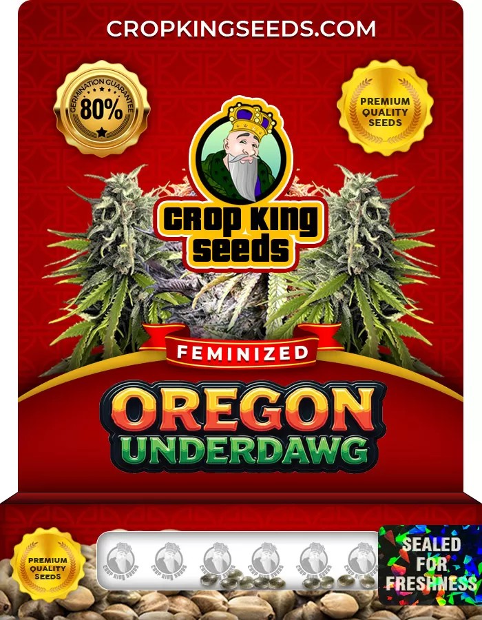 Oregon Underdawg Feminized Marijuana Seeds