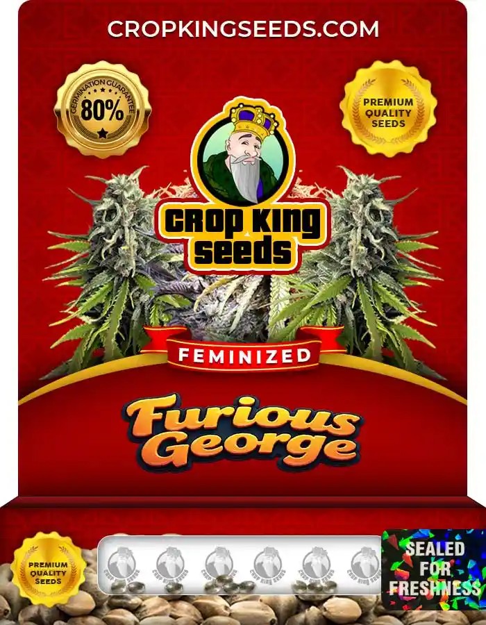 Furious George Feminized Seeds