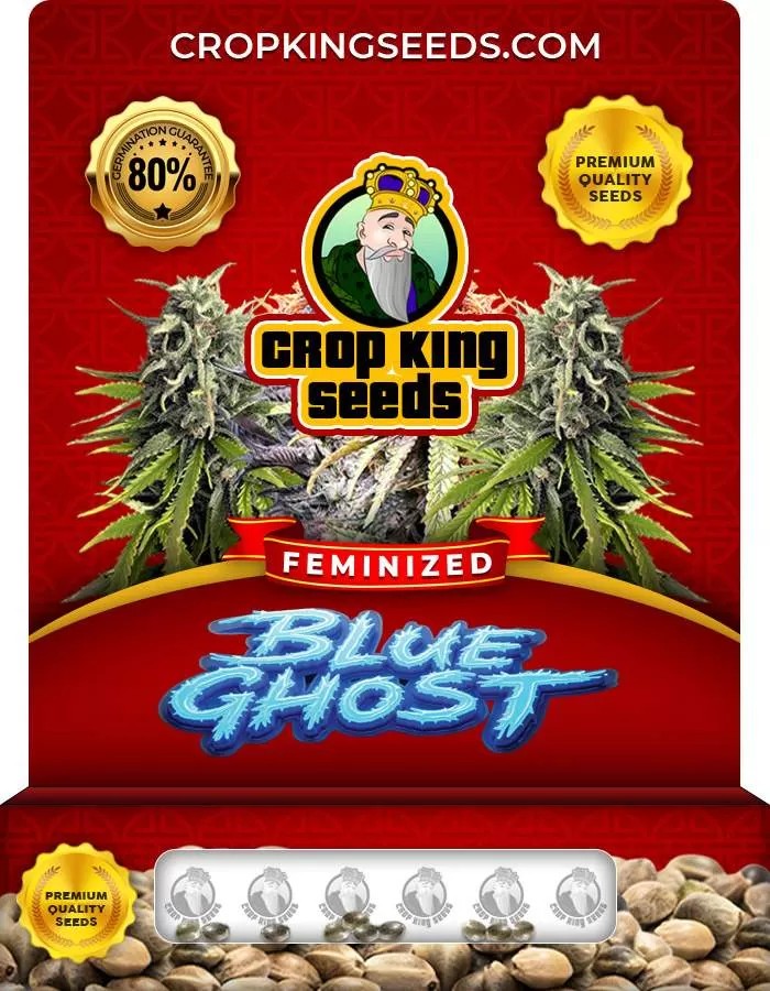 Blue Ghost Feminized Seeds