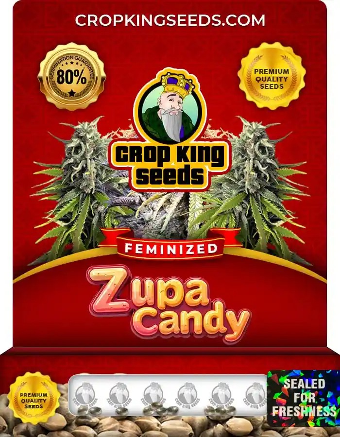 Zupa Candy Strain Feminized Seeds