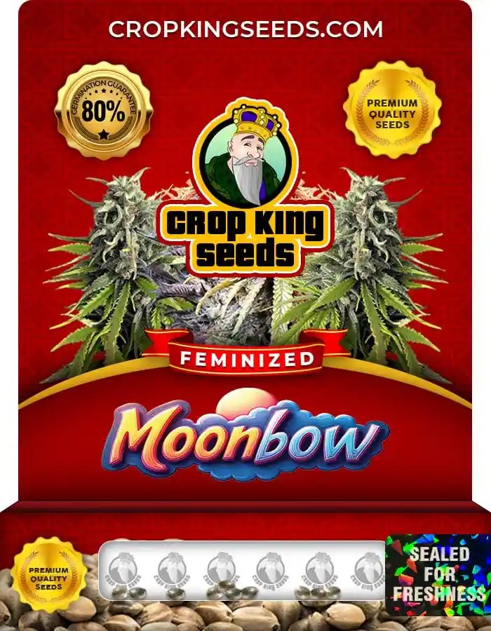 Moonbow Strain Feminized Marijuana Seeds