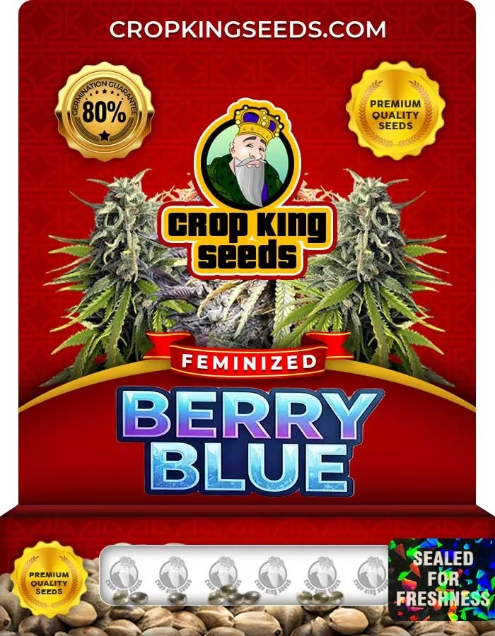 Berry Blue Strain Feminized Seeds