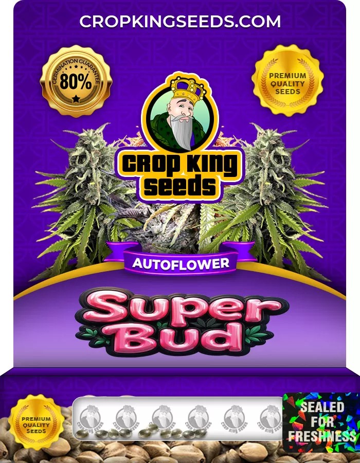 Super Bud Autoflower Marijuana Seeds