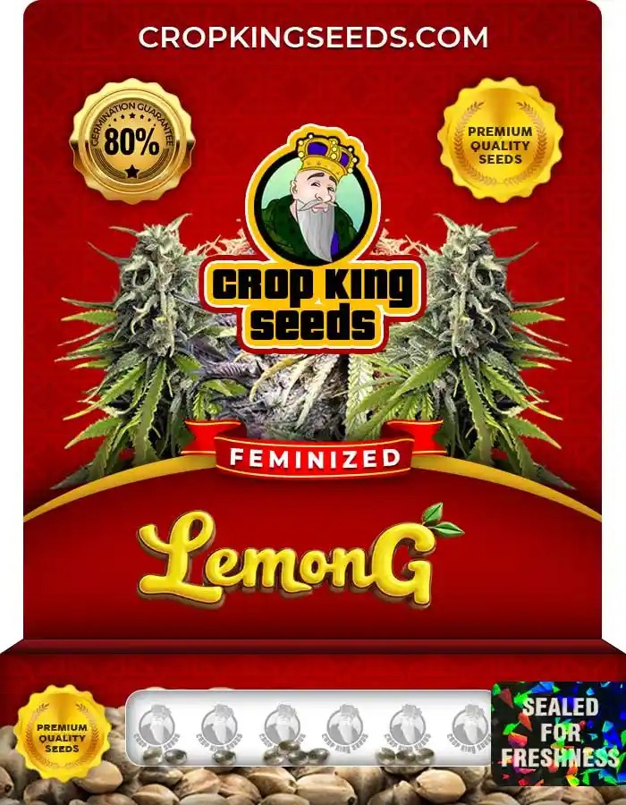 Lemon G Strain Feminized Marijuana Seeds