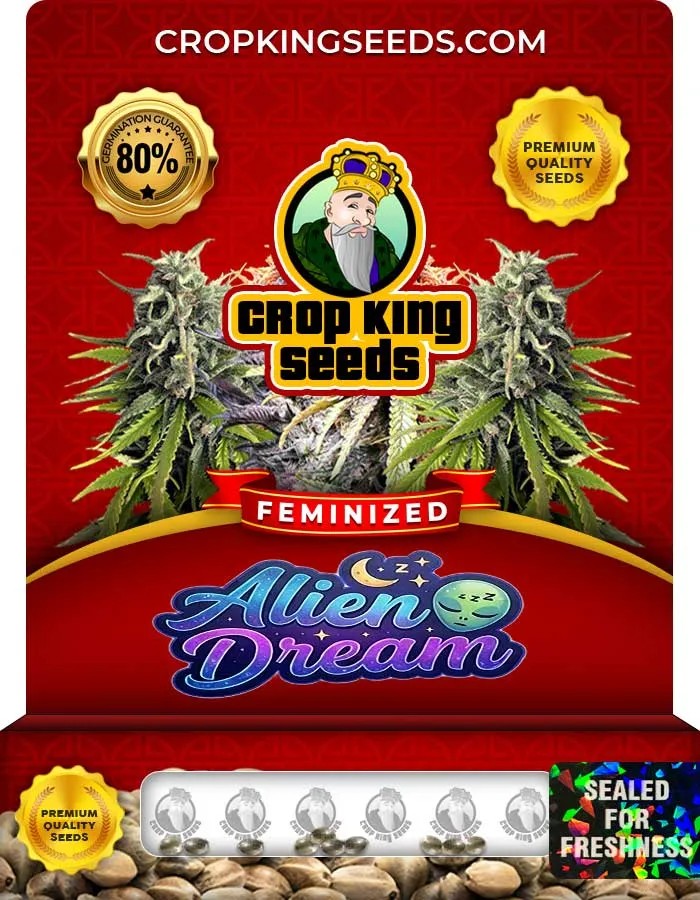Alien Dream Strain Feminized Seeds