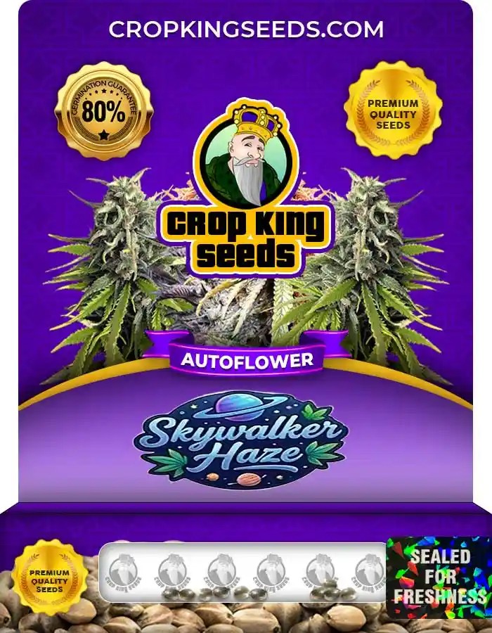 Auto Skywalker Haze Seeds