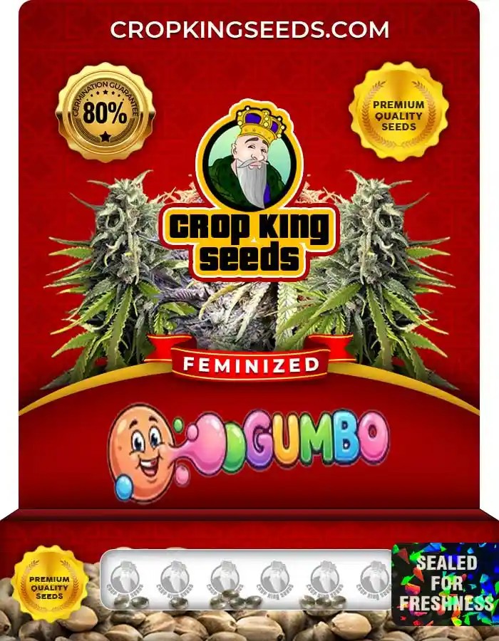 Gumbo Strain Feminized Marijuana Seeds