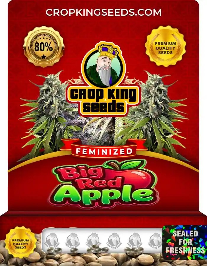 Big Red Apple Strain Feminized Seeds