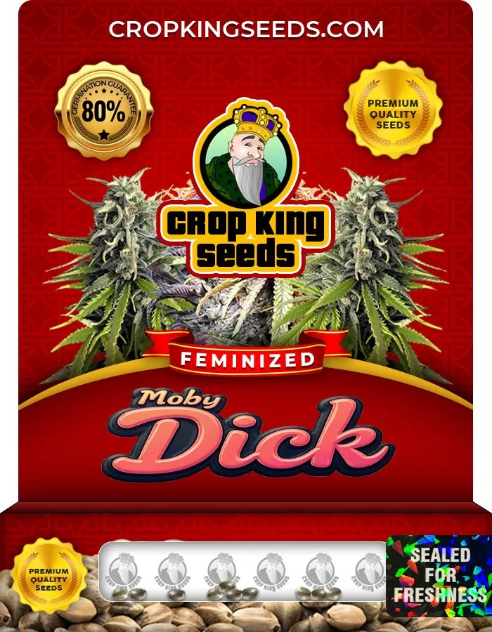 Moby Dick Feminized Marijuana Seeds