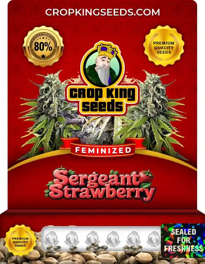 Sergeant Strawberry Feminized Seeds