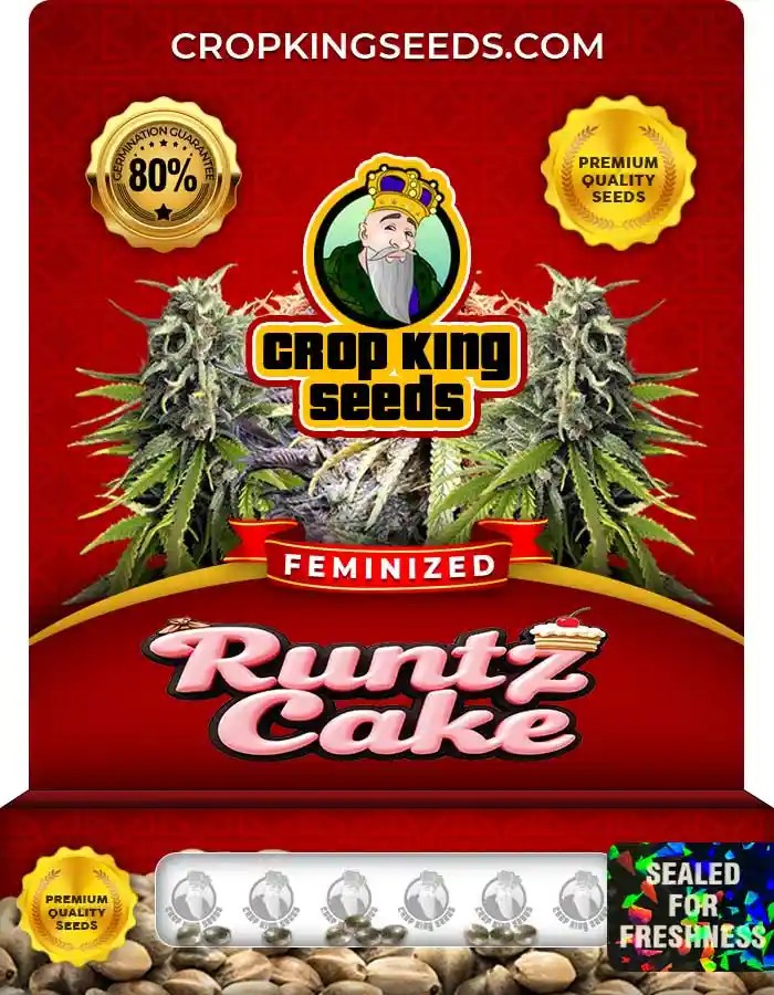 Runtz Cake Strain Feminized Marijuana Seeds