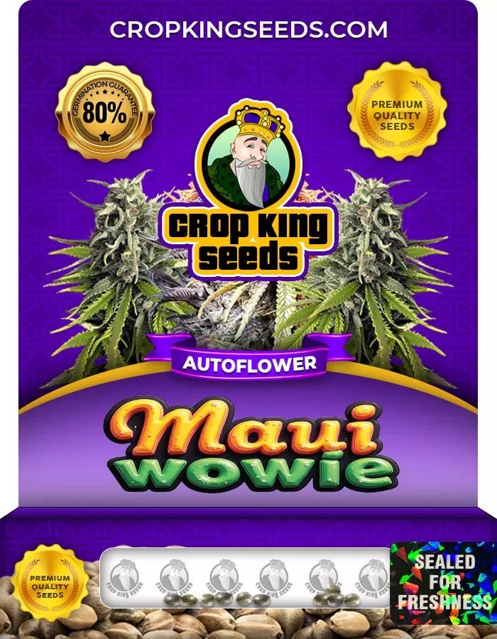Maui Wowie Autoflower Marijuana Seeds